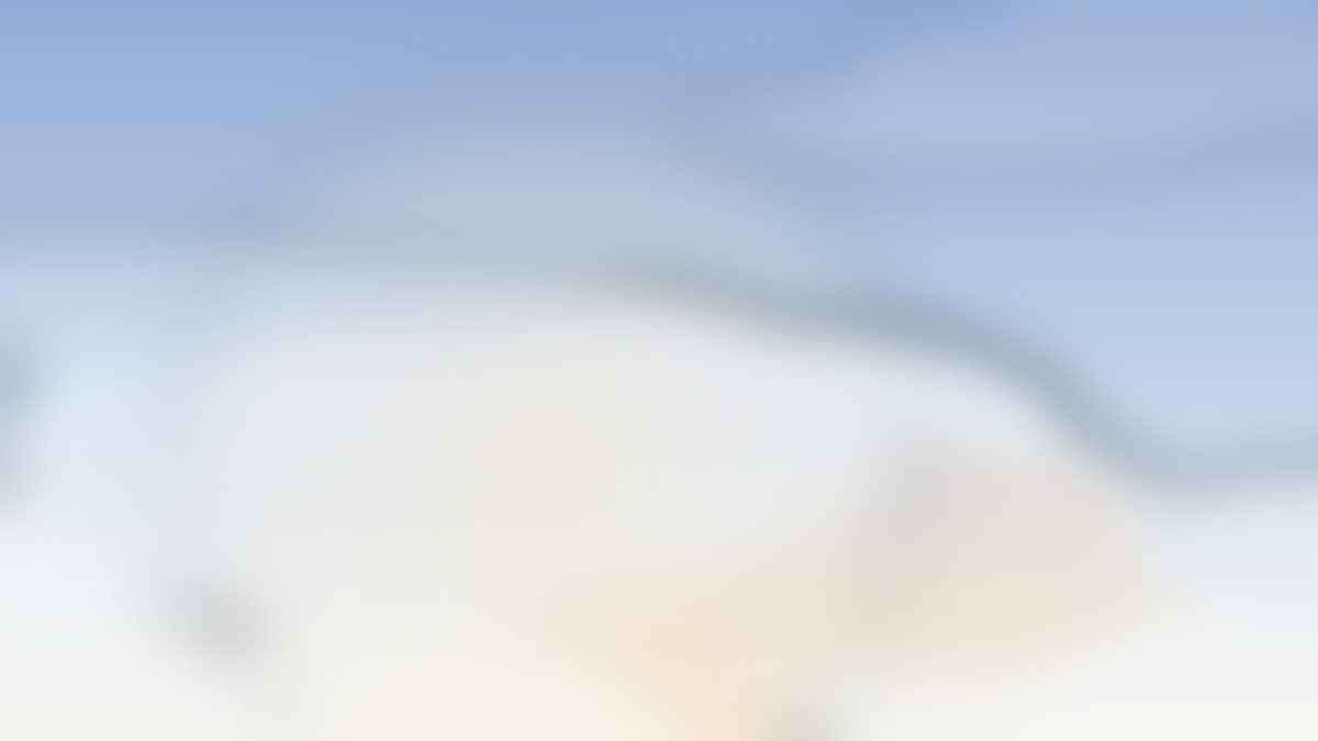 Morning sky in soft blue and cream